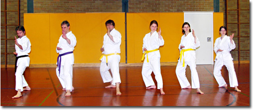 karate-9810-500.jpg